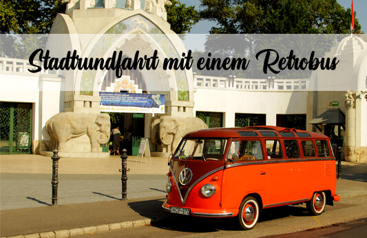 Stadtrundfahrt per Retrobus - eine einzigartige Stadtrundfahrt mit einem VW Bulli (private Tour)